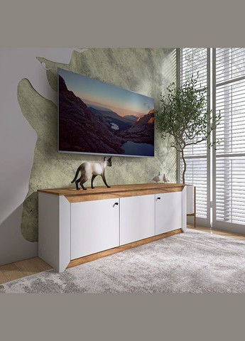 Тумба під телевізор Нордік ТВ1500 Білий + Дуб крафт золотий (DTM-5541) Еверест (315496308)