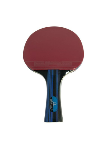 Набір для гри в настільний теніс SA10 ( ) SNS (316141273)