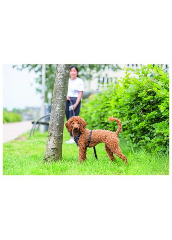 Шлей для собак CityStyle H-harness Хлопок S–M 42–60 см 15 мм Черный (4053032683273) Trixie CityStyle H-harness Бавовна S–M 42–60 см 15 мм Чор (369362530)