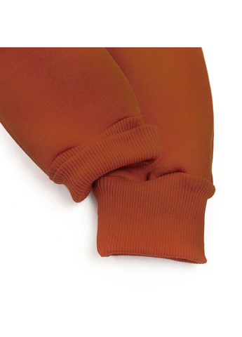 Комбінезон на блискавці для немовлят з начосом з капюшоном та шапочкою Cinnamon dexter's (362617430)