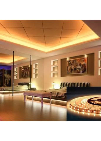 Світлодіодна стрічка OEM ST-12-5050-60-WW-20-V2 тепла біла, негерметична, 1м BIOM (361068607)