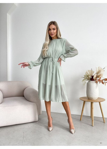 М'ятна святковий, кежуал жіноча сукня а-силует Style Point в горошок