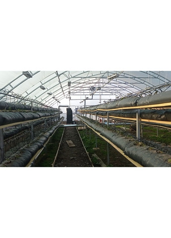 Фітолампа 200 Вт із лінзами для росту рослин, мультиспектр 400-840nm Gembird (368704491)