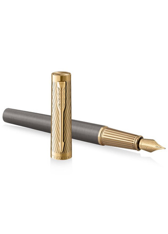 Ручка перья INGENUITY SE Pioneers GT FP F 61011 Parker (317307814)