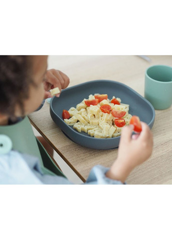 Тарелка силиконовая на присоске 600 мл минерал, арт. 913550 Beaba (369669007)