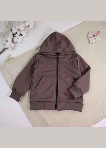 Дитячий весняний костюм толстовка на змійці штани коричневого кольору No Brand (322899238)