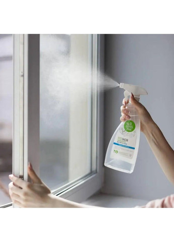 ЕКОзасіб натуральний для миття скла з розпилювачем 500 мл CHOICE Green Max (300801541)