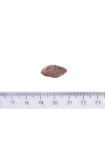 Сухий корм Dog Sustainable Sensitive для собак із чутливим травленням з рибою та комахами 12 кг (8595602559190) Brit Care (364789048)