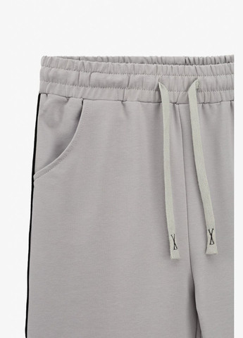 Светло-серые спортивные демисезонные брюки Lizi Kids