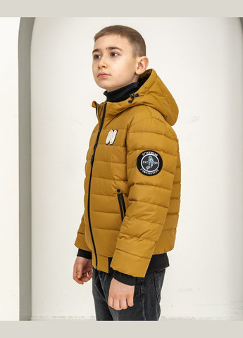 Горчичная демисезонная демисезонная куртка для мальчика SK