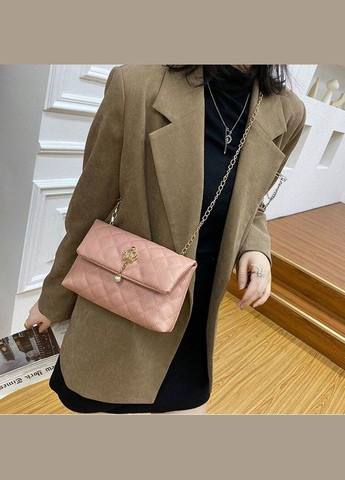 Сумка клатч женская пудровая код 6-441 PTR No Brand (317769339)