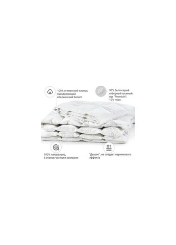 Одеяло пуховое Raffaello 052 зима 220x240 см (2200005895047) Mirson (315027952)