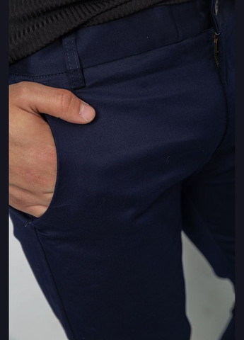 Темно-синие повседневный, кэжуал демисезонные брюки Ager