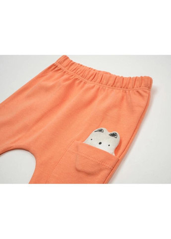 Комбінований демісезонний набір дитячого одягу з котиками (16317-62b-orange) Miniworld