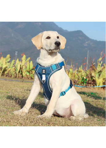 Подтяжка для собак No Brand (362136119)