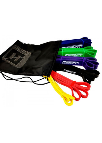 Резиновые петли: набор 1-110 кг (6 шт) EasyFit (365549459)
