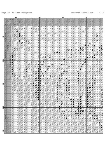 Maltese Bolognese Joy Sunday (314985839)