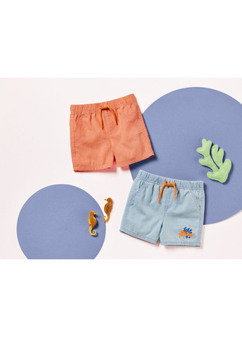 Шорты набор 2 шт. для мальчика LIDL 444122 Lupilu (363620484)
