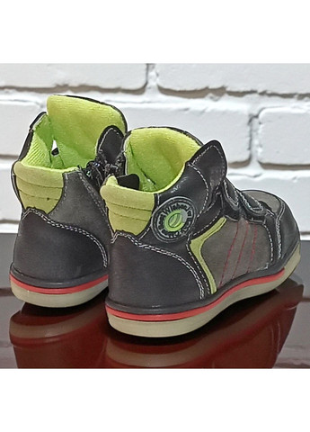 Утеплені демісезонні черевики на липучках осінні ортопедичні хайтопи для хлопчика на флісі Клібі Clibee (362378420)