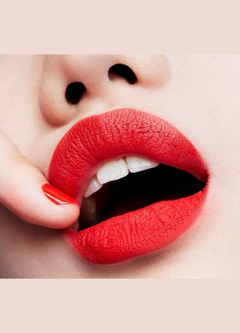 Губная помада Cosmetics Matte Lipstick Цвет: 607 LADY DANGER Rouge A 'Le'vres MAC (293515317)
