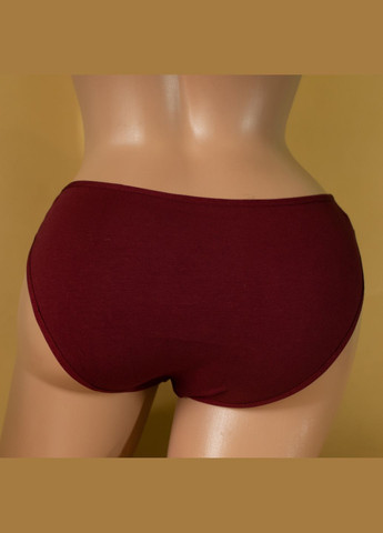 Набір трусиків жіночих сліпи трійки 3 шт Dominant (303724854)