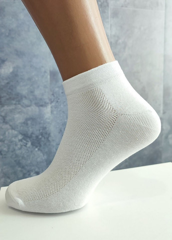 Білі шкарпетки короткі в сітку бавовняні 6 пар упаковка житомир (408) білий Lomani однотонні (329901357)