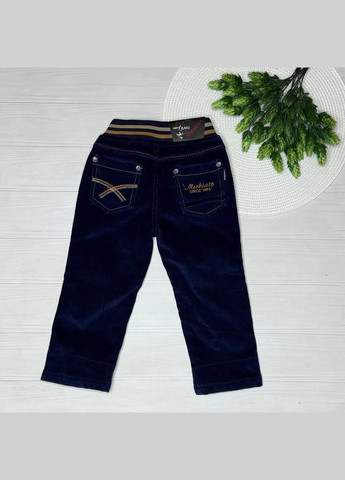 Синие демисезонные брюки Merkiato