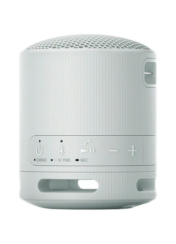 Портативная акустика SRS-XB100 Grey (SRSXB100H.CE7) [104697] Sony (399211731)