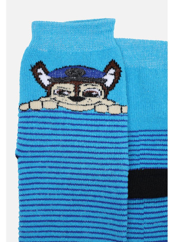 Синие носки средние для мальчика цвет синий cb-00284771 Yuki зима (366038043)