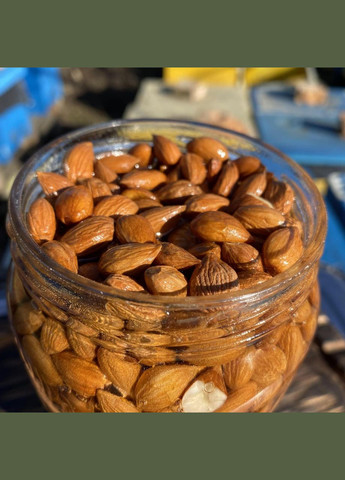 Ядра кісточки абрикоса у меду акації 0,25 л (270 грам) МЕД ПОШТОЮ (322148941)