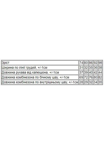 Комбінезон для дівчинки (зима) (p-15454) Носи своє (305575037)