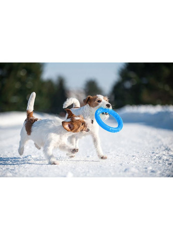 Кольцо для апортировки PitchDog20, диаметр, голубой PitchDog (322002152)