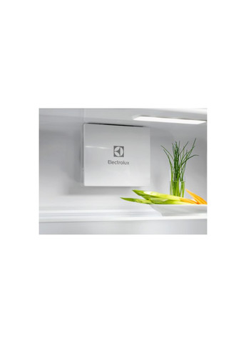Холодильник (m504688) Electrolux ERD6DE18S4