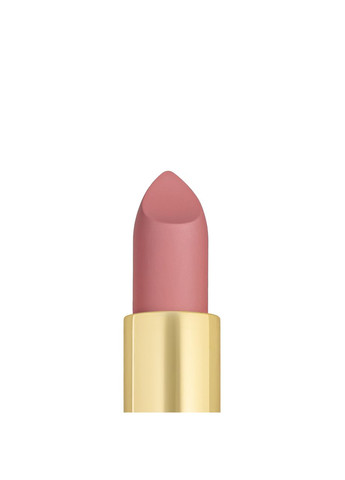 Помада для губ матовая PRO HD Soft Matte Lipstick PT158, №009 TopFace (331346381)