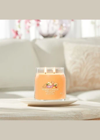 Ароматическая свеча Mango Ice Cream Medium Yankee Candle (336211349)