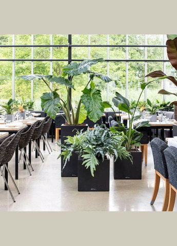 Умный вазон Canto Stone 30 low 12 л кварцевый белый 13707 Lechuza (316627722)