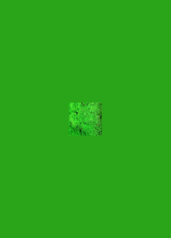 Стабілізований мох ягель Зелений трав'яний світлий 100 грам Nordic moss (276401042)