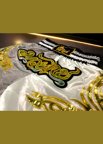 Шорты для кикбоксинга тайского бокса муай тай тайский бокс GDragon Sport мужские трусы кикбокс профессиональные Cерые 4_1_S4 No Brand (316630681)