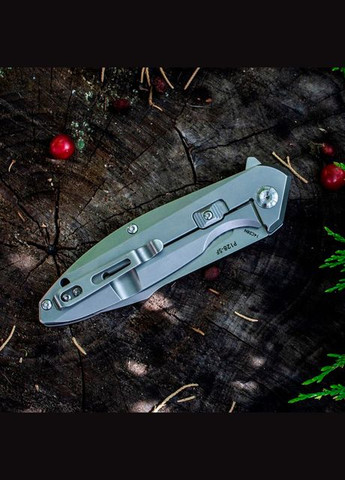 Ніж складний Hussar P128-SFGrey Ruike (315878955)