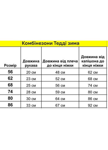 Дитячий зимовий комбінезон Тедді No Brand Комбінезон із закритою ніжкою (368671256)