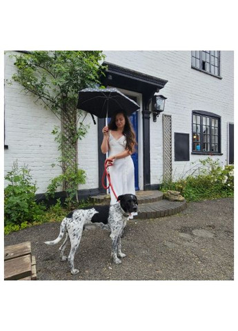 Чорна} парасоля (l501-041628) Fulton (368562629)