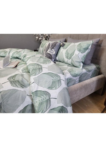 Постільна білизна з резинкою Ботанікум, бязь PREMIUM Двухспальний розмір, наволочки 50/70 No Brand (363192018)