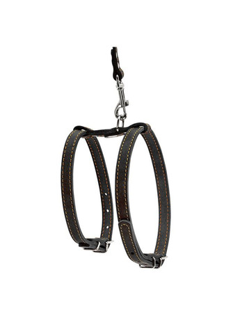 Шлея " " з повідцем для малих собак (ширина 14мм, дов. 122см) чорний Collar (326836054)