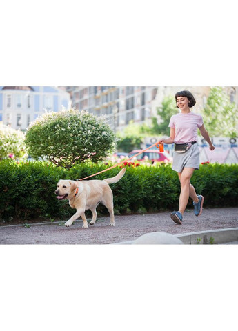 Поводок для собак Collartex Эволютор 25мм 210см оранжевый шнур для выгула ProDobro (373221412)