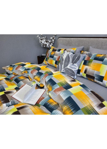 Постельное белье Фаворит/сизый дым, фланель(байка) Евро размер, наволочки 50/70 No Brand (364218312)