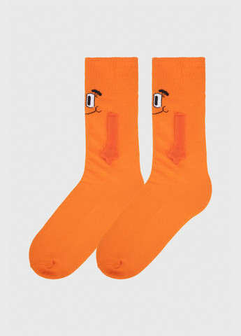 Шкарпетки No Brand (288673226)