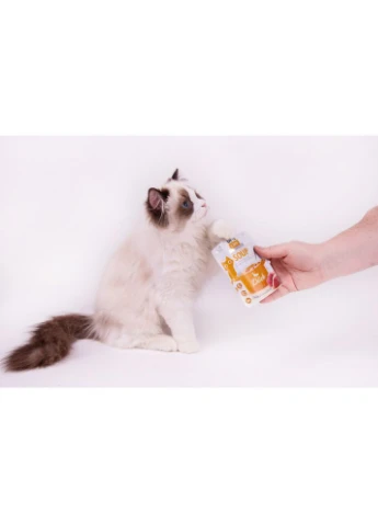 Влажный корм Soup Duck д/котов суп с уткой 75 г Brit Care (380383635)