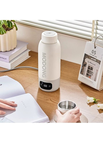 Чайник-термос Модонг GRAY No Brand (371274921)