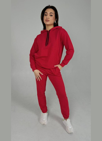 Жіночий спортивний костюм (червоний) No Brand (329145054)