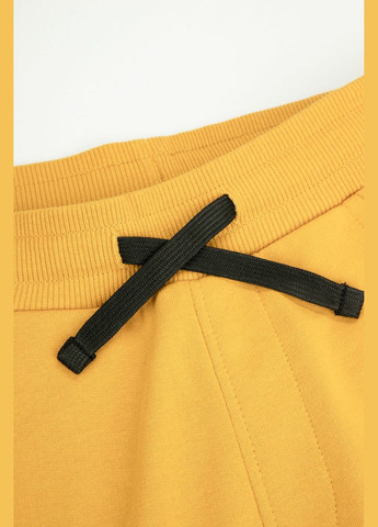 Горчичные демисезонные брюки Coccodrillo